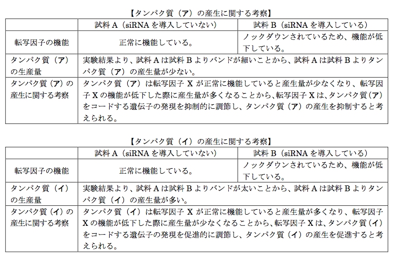 解説画像